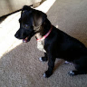 Meet your Posher, Cathy